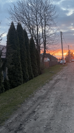 Spring blooms and rural roads captured in Dubrovka