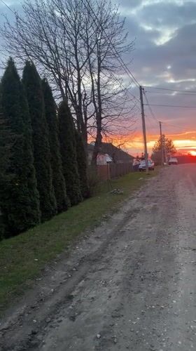 Spring blooms and rural roads captured in Dubrovka