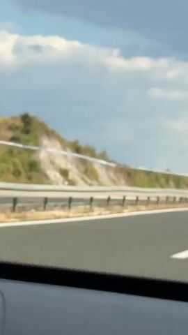 A car drives down a highway towards a large, curved overpass designed as an animal crossing. The overpass is covered in grass and trees, with several cypress trees visible on top. The highway has two lanes in each direction, separated by a metal guardrail. There are other vehicles on the highway, including a white car and a truck. A green highway sign is visible on the right side of the road, indicating directions to various cities. The sky is partly cloudy with blue sky visible.