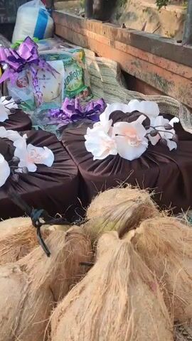 The video shows a close-up view of several items, possibly gifts, arranged in the back of a vehicle. In the foreground, there are several coconuts with their husks intact. Behind the coconuts, there are several cube-shaped objects wrapped in dark brown fabric and decorated with white fabric flowers and purple ribbons. Some of these wrapped objects have what appear to be packages of groceries or household items, such as soap and rice, placed behind them. The overall impression is that these are gifts being transported, possibly for an event or occasion. The lighting suggests it is daytime, and the background is blurred, but it appears to be an outdoor setting. There are no people visible in the video.