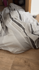 Bedroom in Eberswalde: striped bedding on bed, duvet on floor
