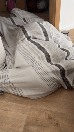 Bedroom in Eberswalde: striped bedding on bed, duvet on floor