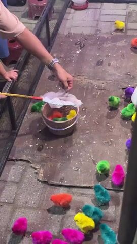 A person is using a net on a stick to catch brightly colored chicks from a shallow pen. Several chicks, in shades of pink, yellow, green, orange, and purple, are scattered on the ground. A basket filled with some chicks sits in the middle of the pen. Another person, partially visible, is standing to the left of the person with the net. The environment appears to be an outdoor or semi-outdoor setting with a rough, possibly wooden floor. A speaker with colorful lights is visible in the background, along with a metal fence.