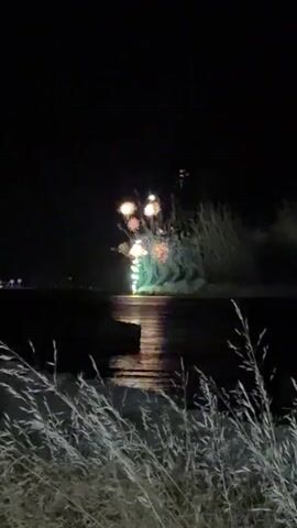 A nighttime scene shows fireworks exploding in the distance over a body of water. In the foreground, tall, dry grass sways gently. The fireworks create bright bursts of light and smoke, reflected in the water. The dark sky is mostly black, with a few distant lights visible on the horizon. The overall atmosphere is one of celebration and spectacle.