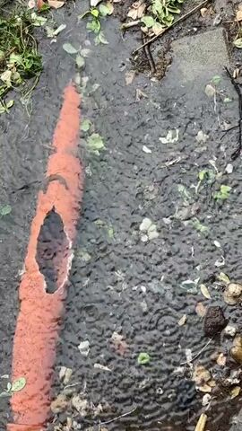 The video captures a close-up, overhead view of a shallow puddle filled with murky water. The scene is set outdoors, likely in a natural or semi-natural environment, with hints of vegetation and debris at the edges of the water. Dominating the left side of the frame is a long, orange, cylindrical object submerged in the water. This object appears to be a broken pipe or conduit, with a large, irregular hole in its side, revealing a darker interior. The surface of the water is rippled, suggesting it might be raining or windy. Small green leaves and some fallen brown leaves are scattered around the edges of the puddle, indicating the presence of plants nearby. The overall impression is one of an outdoor, perhaps slightly neglected, area experiencing some form of precipitation. There is no discernible text in the video.