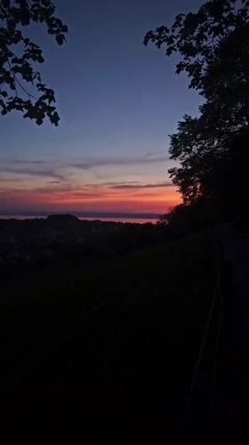 Evening scenes captured in St. Gallen: sunset, stairs, cat