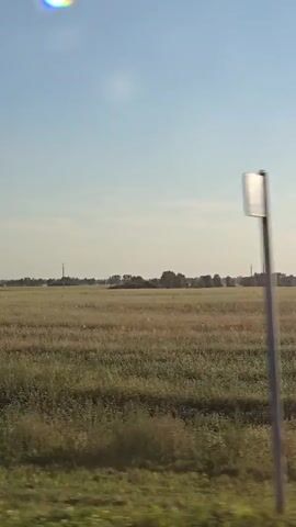 The video shows a time-lapse of a vast, flat, rural landscape under a clear blue sky. The foreground is dominated by a field of dry, golden-brown grass and some scattered green foliage. In the midground, a line of trees and buildings can be seen in the distance, suggesting a settlement. Several tall, thin structures resembling utility poles or radio towers are also visible scattered across the horizon. The camera appears to be moving, as the landscape slowly shifts. Sun flares occasionally appear as bright spots or streaks in the sky. The overall impression is one of open space and agricultural land, possibly during late summer or early autumn.