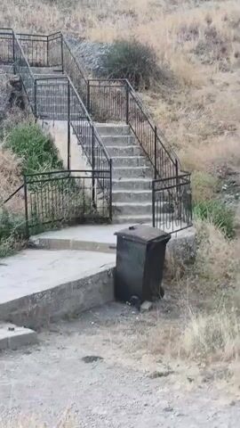 The video shows a set of concrete stairs with black metal railings ascending a dry, grassy hillside. There is a black trash can with wheels at the bottom of the stairs. The environment appears to be arid, with sparse vegetation and rocky terrain. The camera is positioned in front of the stairs, slightly to the left, and remains stationary throughout the short clip. The lighting suggests an overcast or dusk setting. There are no people visible in the video.