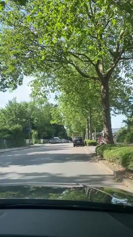 The video shows a view from the dashboard of a car driving down a tree-lined street on a sunny day. The car is moving forward, and we see the road ahead, with parked cars on the right side of the street and trees and foliage on both sides. Several other cars are visible on the road, and a yellow truck is in the distance. The sky is blue with some clouds. The leaves on the trees are green and lush. The overall impression is of a pleasant, suburban drive.