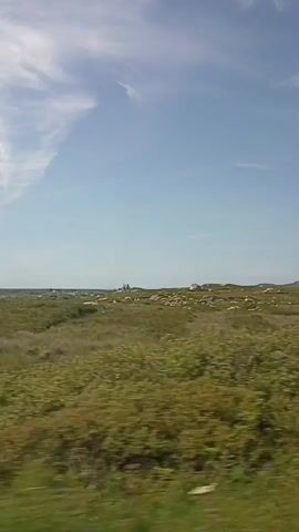 The video shows a scenic view of a grassy landscape under a clear blue sky with scattered clouds. The camera appears to be moving, possibly from inside a vehicle, as evidenced by the slight blur and the framing of the scene. The terrain is rolling, with patches of green grass and some larger rocks scattered throughout. In the distance, there seems to be a hint of buildings or structures, and possibly a road or a pathway. The overall impression is one of a rural, open environment.