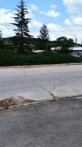 The video shows a roadside scene with a road, a dirt shoulder, and dense green bushes. In the background, there are houses, trees, and hills under a partly cloudy sky. Initially, a group of small white objects, possibly ducklings or chicks, are visible on the dirt shoulder near the bushes. The camera then pans up and to the right, showing more of the environment. A tall pine tree is prominent on the left, and other trees and buildings are scattered across the landscape.