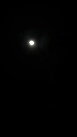 The media file is a night-time video clip showing a full moon in a dark sky. In the foreground, there is a building with illuminated string lights, a white car parked in front, and a glimpse of a tree. The overall scene suggests an outdoor setting at night, possibly in a semi-urban or suburban area given the building and car. The moon is the primary subject, casting a soft glow.

The time of day is clearly night, indicated by the darkness of the sky and the artificial lighting present. There are no people visible in the clip. The setting appears to be Talpe, Sri Lanka, as indicated by the provided location context.

Notable details include the bright, full moon, the warm glow of the string lights, and the silhouette of the building and car against the night sky. The atmosphere conveyed is one of quietness and perhaps a touch of serenity, often associated with moonlit nights.

Visible text includes the word "SEVONRA" on a blue sign and "SALTA" on a red sign, both positioned near the illuminated string lights on the left side of the frame.