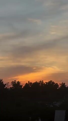 A video begins at 00:00, capturing a dusky sky with soft, wispy clouds. The colors transition from a pale blue at the top to streaks of orange and pink closer to the horizon. Silhouetted against the sky is a line of dark trees. Below the trees, a dark area suggests foliage or a landscape, with what appear to be parked vehicles or structures faintly visible. At the very bottom of the frame, a few indistinct human figures are present, along with a dark, angular object, possibly a screen or panel. The scene is static throughout the brief duration of the video.