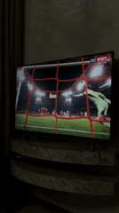Soccer match broadcast viewed on television in Armenia