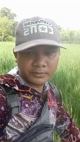 A man wearing a gray baseball cap with the word "CONVERSE" and a star logo, and a colorful long-sleeved shirt with a patterned design, is shown from the chest up, facing the camera. He has a gray sling bag across his chest and appears to be walking or standing in a grassy outdoor environment. The background consists of tall green grass and some trees. The lighting is bright, suggesting it is daytime. The video appears to be a selfie-style recording.
