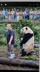 Assorted video clips from Al Aweer span animals, music, and kids