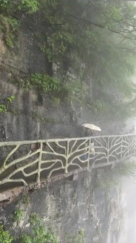 The video shows a pathway built along a cliffside in what appears to be a mountainous region, shrouded in heavy fog. The pathway is made of stone and has a decorative concrete railing designed to look like tree branches. Several people are walking along the path, including one individual holding a light-colored umbrella. The vegetation along the cliffside is lush and green. The fog obscures most of the background, creating a sense of mystery.