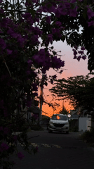 Bougainvillea and a vivid sunset along a Kuta Selatan street