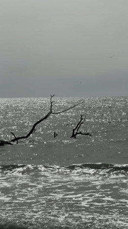 Morning beachfront scenes documented across Varna, Bulgaria waterfront district