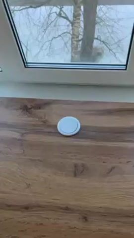 The video shows a person demonstrating a pop-up power outlet on a wooden surface. The surface is likely a countertop or table, positioned near a window with a view of a birch tree outside. The person's hand points to the circular, flush-mounted outlet cover. They then push the cover, causing the outlet to rise vertically. The outlet is cylindrical, with a silver top and base, and contains multiple black power sockets. The outlet remains in its extended position on the wooden surface.