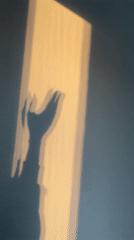 Hand shadow play captured on sunlit wall in Strasbourg