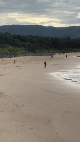 The video shows a wide, sandy beach with several people walking in the distance. The sky is overcast with some lighter clouds visible near the horizon. A line of trees and a rolling hillside form the backdrop to the beach. The ocean is visible on the right side of the frame, with small waves lapping at the shore. The sand is light brown and appears mostly smooth, with some faint footprints visible. The people in the distance are small figures, some walking alone, others in pairs or small groups. One person is walking a dog. The overall scene conveys a sense of calm and quiet.
