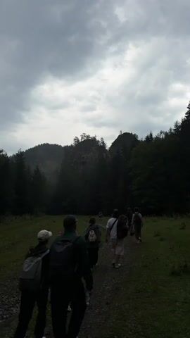 A group of hikers walks single file on a dirt path through a grassy clearing. A line of dark green coniferous trees borders the right side of the path, and a rocky, tree-covered mountain range looms in the background under a cloudy sky. The hikers are all wearing backpacks, and some have sleeping mats strapped to them. The person in the foreground on the left is wearing a black jacket and a red baseball cap. The person next to them is wearing a green jacket and a black backpack. The person in front of them is wearing a black jacket and carrying a pink sleeping mat. The person in front of them is wearing a dark green jacket and carrying a dark backpack. The person in front of them is wearing a white t-shirt and carrying a brown backpack. There are several other hikers following behind them, mostly obscured by the trees and the distance. The lighting suggests it is either early morning or late evening, or the sky is overcast.