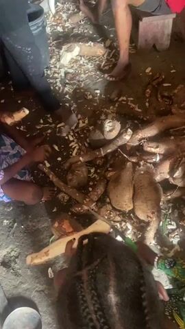 A group of people, including children, are in a dimly lit, rustic environment, possibly a hut or dwelling. They are gathered around a pile of what appear to be large tubers or root vegetables. Some individuals are peeling or preparing these vegetables with knives. There are scattered remnants of the peeled material on the ground, which is dirt. In the background, a large, dark, cylindrical object, possibly a pot or container, is visible. The overall scene suggests a communal activity of preparing food, likely a staple crop.