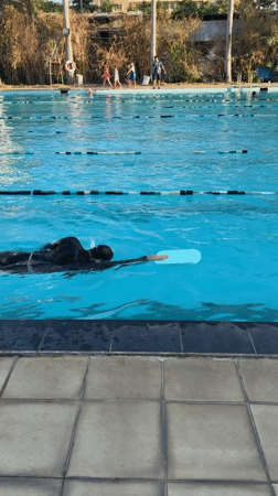 Morning swim session documented at Nha Trang pool complex