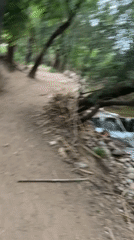 Person walks wooded path near stream in Sant Martí Sarroca