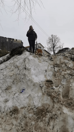 Woman walks beagle through snowy Chaikovsky streets