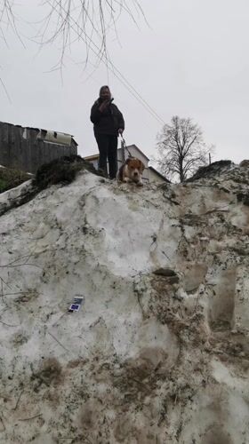 Woman walks beagle through snowy Chaikovsky streets