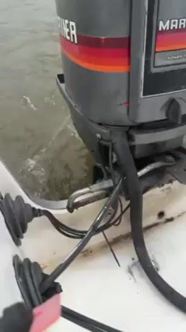 The video shows the back of a boat and an outboard motor, with the water nearby. The motor is a Mariner, with an aged gray color. The boat is white. Several black cables are visible near the motor and the boat's stern, secured with a zip tie. The water appears slightly choppy and murky. There are no visible people present in the video.