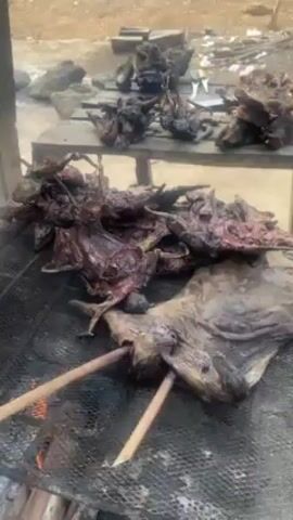 A full view of what appears to be game meat being prepared over an open fire. The meat is laid out on a black metal grill, with skewers propping up one larger piece. Additional meat portions are on a wooden table in the background. The environment appears to be outdoor, possibly rural, with glimpses of debris in the periphery. There is an indiscernible voice heard in the video.