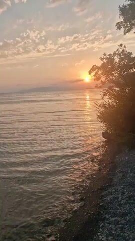 A wide shot captures a serene sunset over a calm body of water. The sun, a bright orange orb, hovers just above the horizon, casting a shimmering golden reflection across the water's surface. Wispy clouds, tinged with pink and orange hues, dot the sky. To the right of the frame, the shore is lined with dark, dense foliage, with the silhouette of trees against the sky. The foreground shows a rocky shoreline, with small stones and pebbles visible. The overall scene evokes a peaceful and tranquil atmosphere.