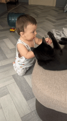 Toddler plays with cats in Russian home scenes