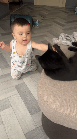 Toddler plays with cats in Russian home scenes