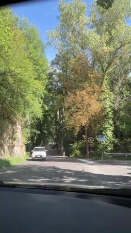 The video shows a first-person view from inside a car driving on a paved road through a forest. The road is lined with trees on both sides, with the foliage creating a canopy overhead. Sunlight filters through the leaves, casting dappled shadows on the road. There is a white SUV parked on the left side of the road in the distance. A few traffic signs are visible along the right side of the road. The overall impression is a scenic drive through a wooded area on a clear day.