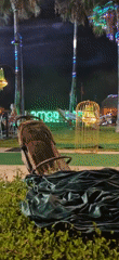 Live evening event at a resort pool venue in Serik