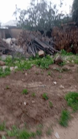 Everyday life around a modest Nigerian compound yard