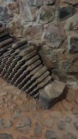The video shows a stone-walled cellar with rows of dusty wine bottles arranged on racks. The bottles are labeled with names in what appears to be permanent marker. In the background, a wooden door and a set of stone stairs leading upwards are visible. The lighting is dim, consistent with a cellar environment.