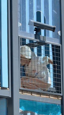Child playground filming, woman with handgun recorded in Khimki