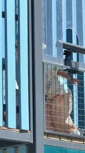 Child playground filming, woman with handgun recorded in Khimki