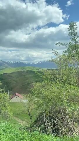The video shows a landscape of green hills and snow-capped mountains under a sky with white clouds. The camera pans across the scene, showing trees with white blossoms.  The footage gives the impression of a travel video or nature documentary.