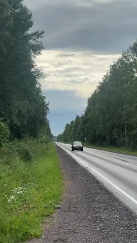 The video shows a car driving on a paved road that cuts through a dense forest on a cloudy day. The road is marked with white lines and has a gravel shoulder. The trees on either side of the road are tall and green, creating a tunnel-like effect. The sky is overcast with dramatic, textured clouds, suggesting an impending storm or recent rain.

The main subject is the dark-colored car, which is driving towards the viewer on the right lane of the road. The car appears to be a SUV or crossover, with its headlights on. The car's license plate is visible, showing Russian characters and numbers. Further down the road, other vehicles and a traffic sign are faintly visible.

The scene is set in a natural, possibly rural or remote, environment. The abundance of trees and the open road suggest a location like a highway or a country road. The time of day appears to be afternoon or evening, given the lighting and cloud cover. There is a sense of a journey or travel implied by the moving vehicle and the road stretching into the distance. The overall mood is slightly subdued due to the cloudy weather, but also peaceful and natural.

The location context is Alyumino, Russia, which aligns with the visual cues of a forested area and the visible Russian license plate. There is no explicit text visible in the video other than the license plate on the car and potentially signage in the distance that is too blurry to read.
