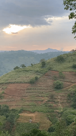 Terraced hillsides and mountain views in Pallegama, Sri Lanka