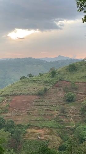 Terraced hillsides and mountain views in Pallegama, Sri Lanka