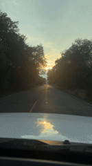 Driver records sunset journey on tree-lined road in Mexico