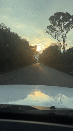 Driver records sunset journey on tree-lined road in Mexico