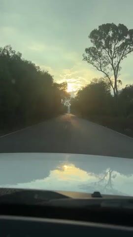 The video shows a view from the windshield of a vehicle driving down a straight asphalt road. Trees line both sides of the road. The sun is setting in the distance, creating a strong backlight that silhouettes the trees. The reflection of the sky and the setting sun can be seen on the vehicle's hood. Another vehicle is visible far ahead on the road. The sky is a mix of pale blues and soft oranges, indicating twilight.